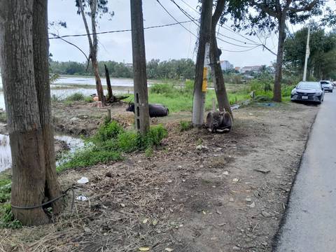 Rural road with water buffalo and a distant village.