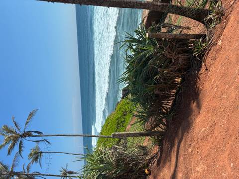 Coastal view with waves and greenery.