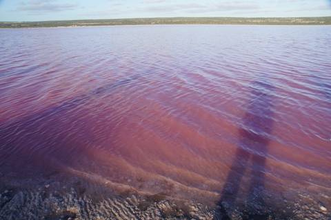 Red-hued lake under a clear sky.