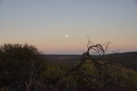       Moon rising over a desert landscape with sparse vegetation.
  