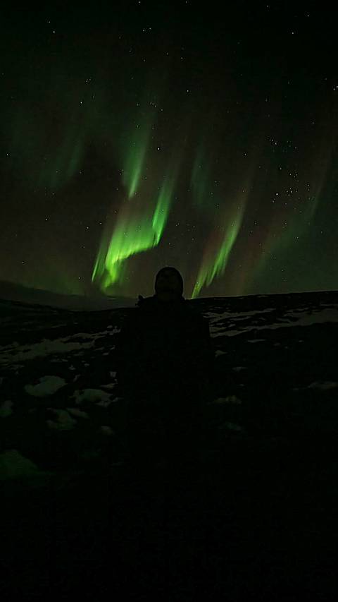 Person silhouetted against the Northern Lights in the sky.