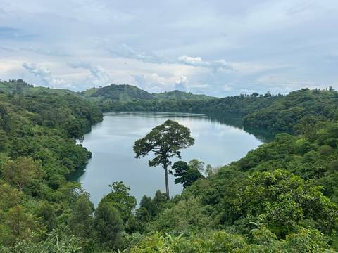 Scenic view of a lake surrounded by lush greenery.