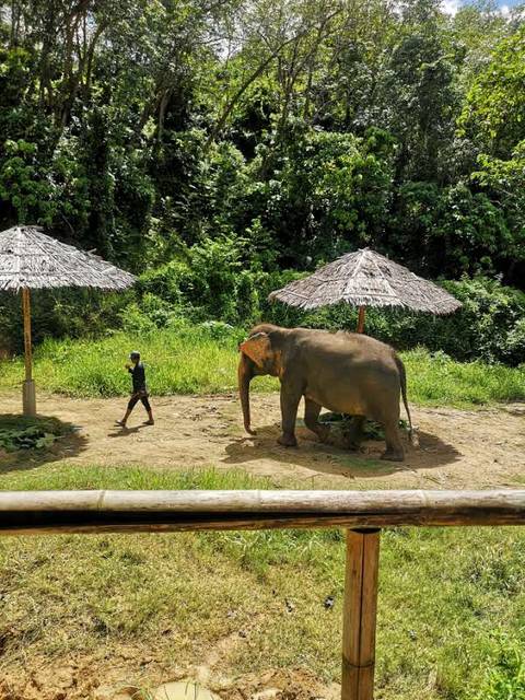 Klantbeoordelingsfoto van Beleef Thailand 