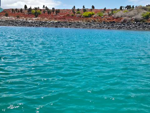       Sparkling blue ocean water with rocky shore.
  