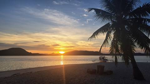 Beach at sunset with a silhouette of a palm tree and a boat.