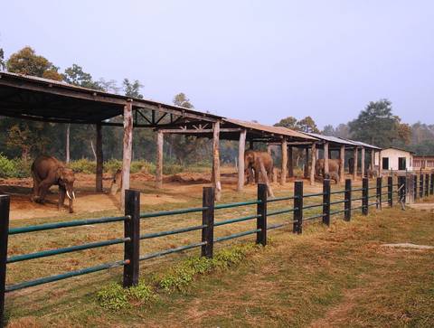 foto de reseña de cliente de Corona del Himalaya - Nepal 