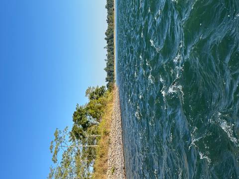 River with trees along the bank.