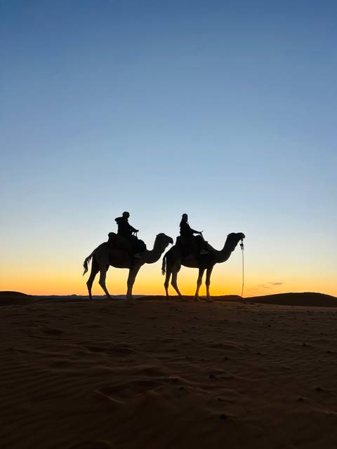       Silhouettes of two people riding camels in the desert at sunset.
  