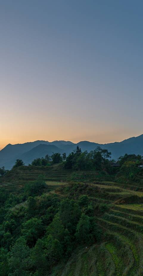       Mountainside view with terraced fields at sunset.
  