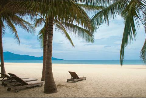 Tropical beach scene with palm trees and loungers.