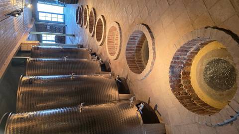       Wine fermentation room with vats and qvevri.
  