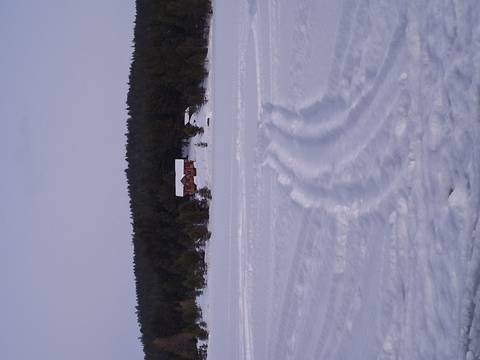 Cabin in snow with tracks leading up to it, surrounded by trees.