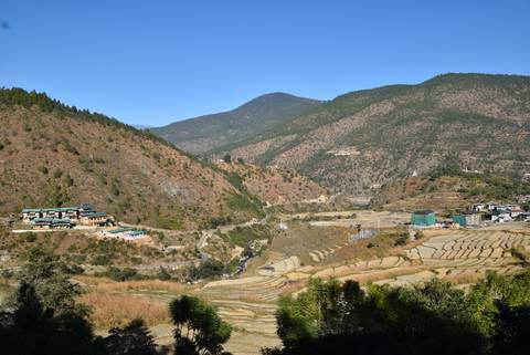 Scenic view of agricultural fields terraced on hillsides.