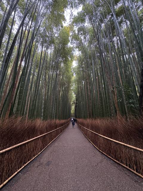 Klantbeoordelingsfoto van Japan klassiek – One Life Adventures – 10 dagen 