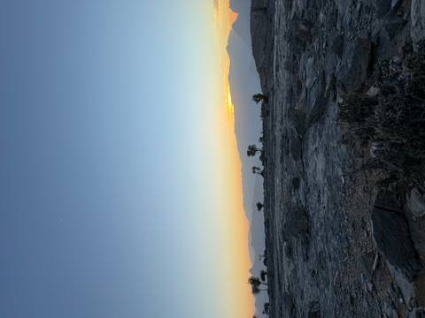Sunset view over a barren rocky landscape with silhouetted trees.