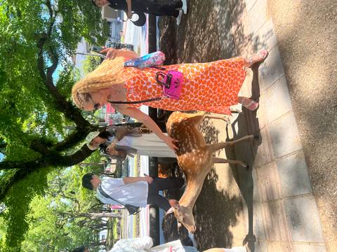 Person petting a deer in a park setting.