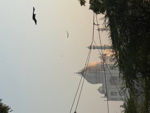       Taj Mahal with birds flying over a hazy sky
  
