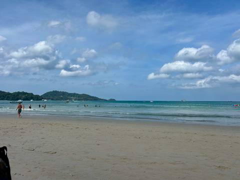 Beach view with people swimming and mountains in the distance.