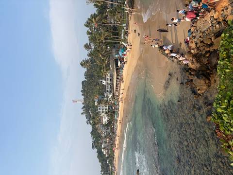 Scenic beach with many people, buildings, and palm trees.