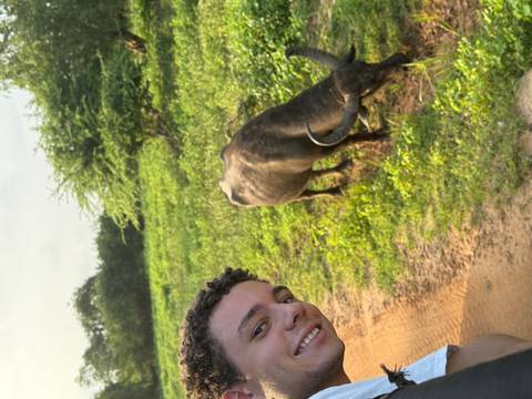      Person posing with a water buffalo in a green field.
  