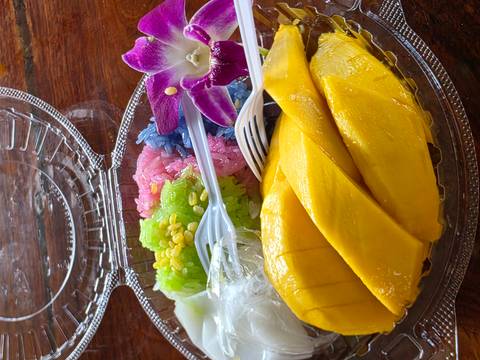 Close-up of traditional Thai mango sticky rice dessert.