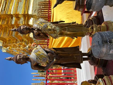       Buddha statues covered in decorative robes in a temple setting.
  
