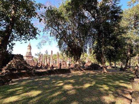       Trees surrounding ancient ruins creating a serene atmosphere.
  