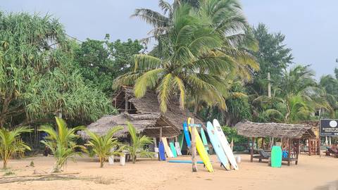 Tropical beach with surfboards and palm trees.