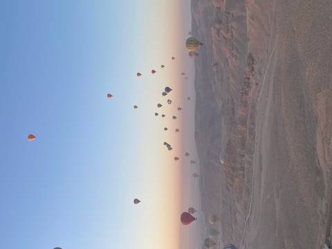       Colorful hot air balloons floating over a desert landscape at dawn.
  