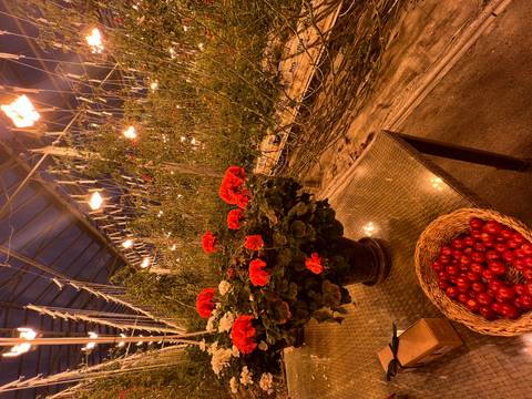Indoor greenhouse with vibrant flowers and a basket of tomatoes.
