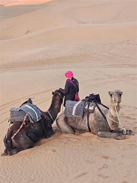 Klantbeoordelingsfoto van 9-Daagse Keizerlijke Steden & Luxe Woestijnkamp & Marokko rondreis vanuit Casablanca 