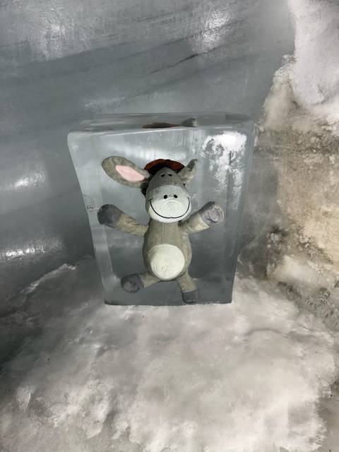 Stuffed animal encased in an ice block, unusual setting.
