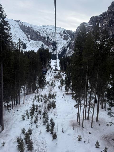 Snowy forest with a ski lift, atmospheric view.