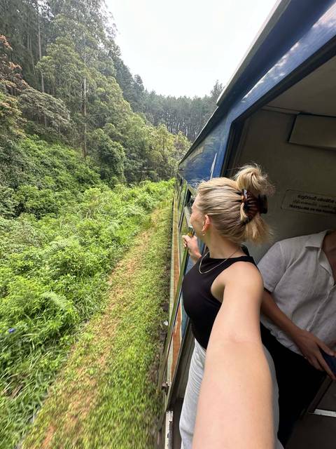 Person leaning out of a train in a forested area.
