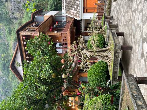Decorated building with bonsai trees in a courtyard.
