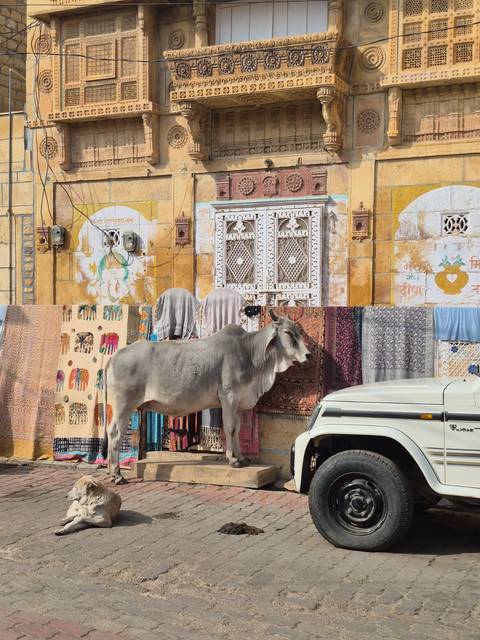       Street scene with cow standing in front of colorful textiles.
  