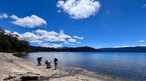 People exploring a lakeshore under a blue sky with clouds.