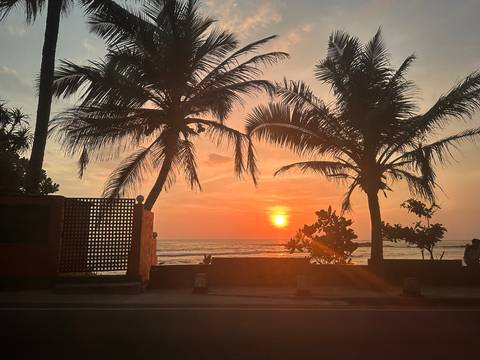 A beach sunset with palm trees and an ocean view.