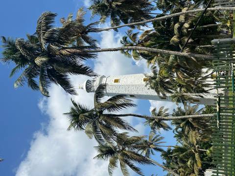 A white lighthouse surrounded by coconut trees against a blue sky.