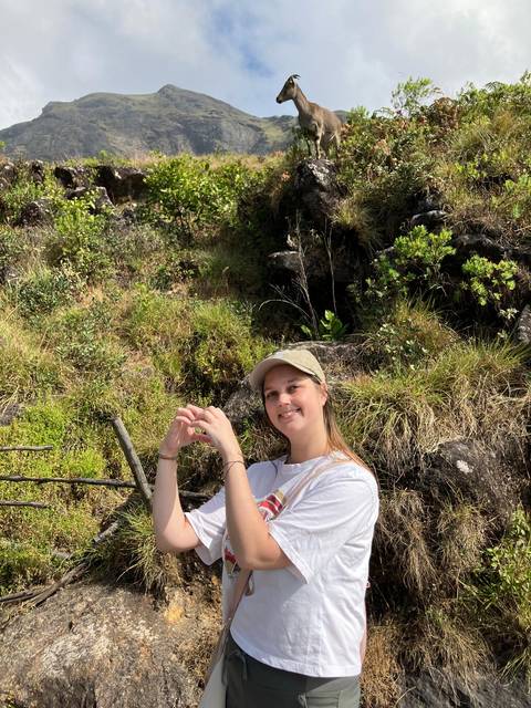Person making a heart shape with hands in nature.