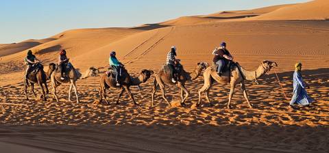 Group camel trekking in the desert.