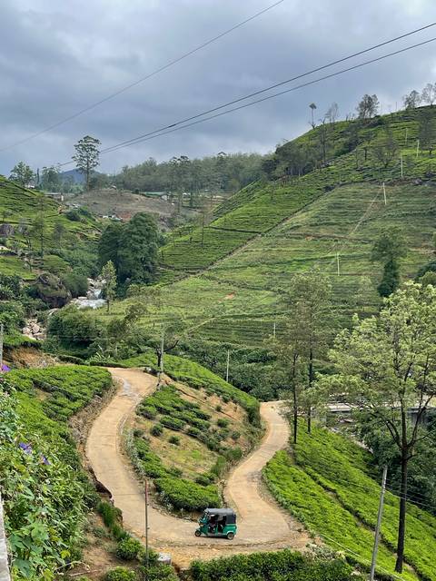 Terraced fields with a river.