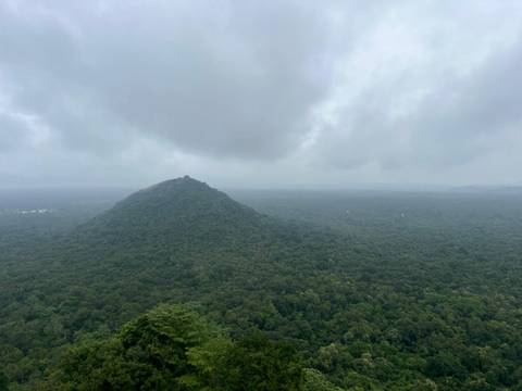       Lush rainforest landscape with a distant mountain under cloudy skies.
  
