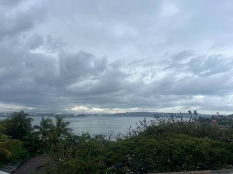       Overlooking a bay with cloudy skies and coastal vegetation.
  