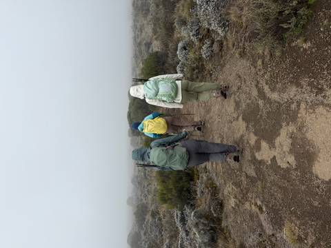Three hikers with backpacks walking along a foggy mountain path.