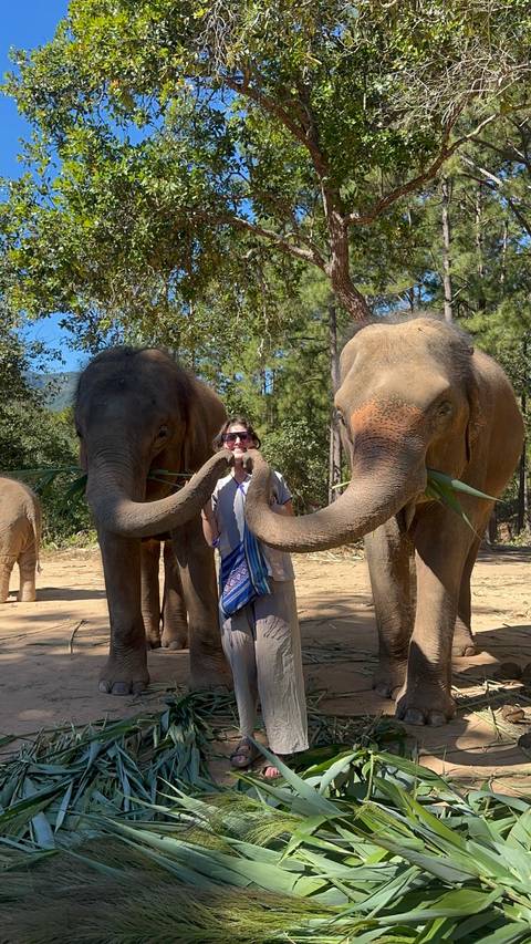 Person standing with two elephants in a natural setting.