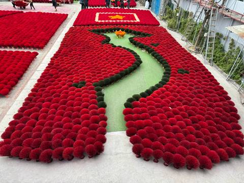       Aerial view of colorful incense sticks in a pattern.
  
