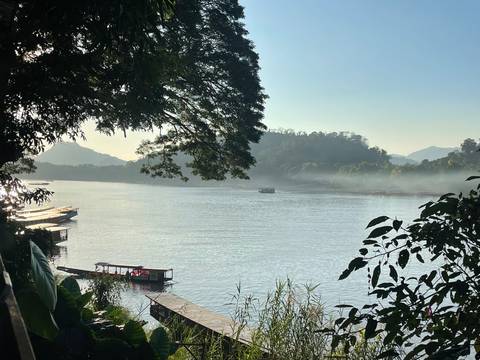       River view with misty background and trees.
  