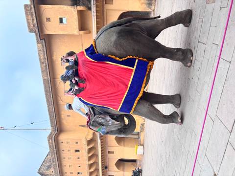 Two people on an elephant ride on a city street.