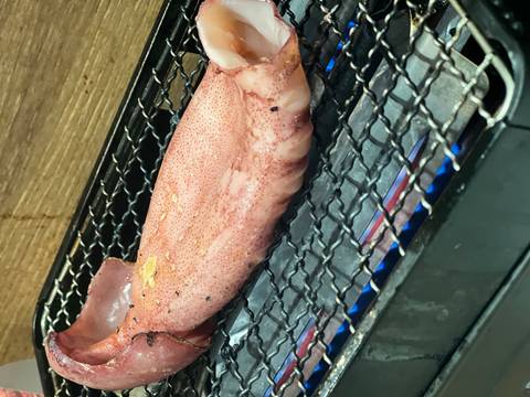 Dishes with grains lined up outdoors.